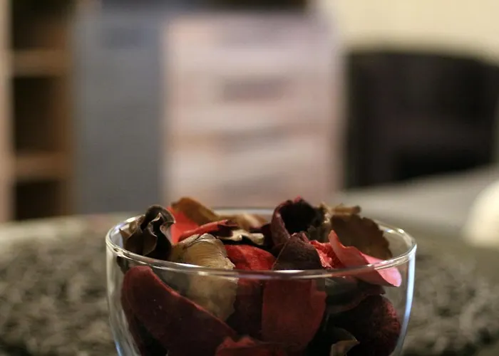 Anzio Marianske Lazne